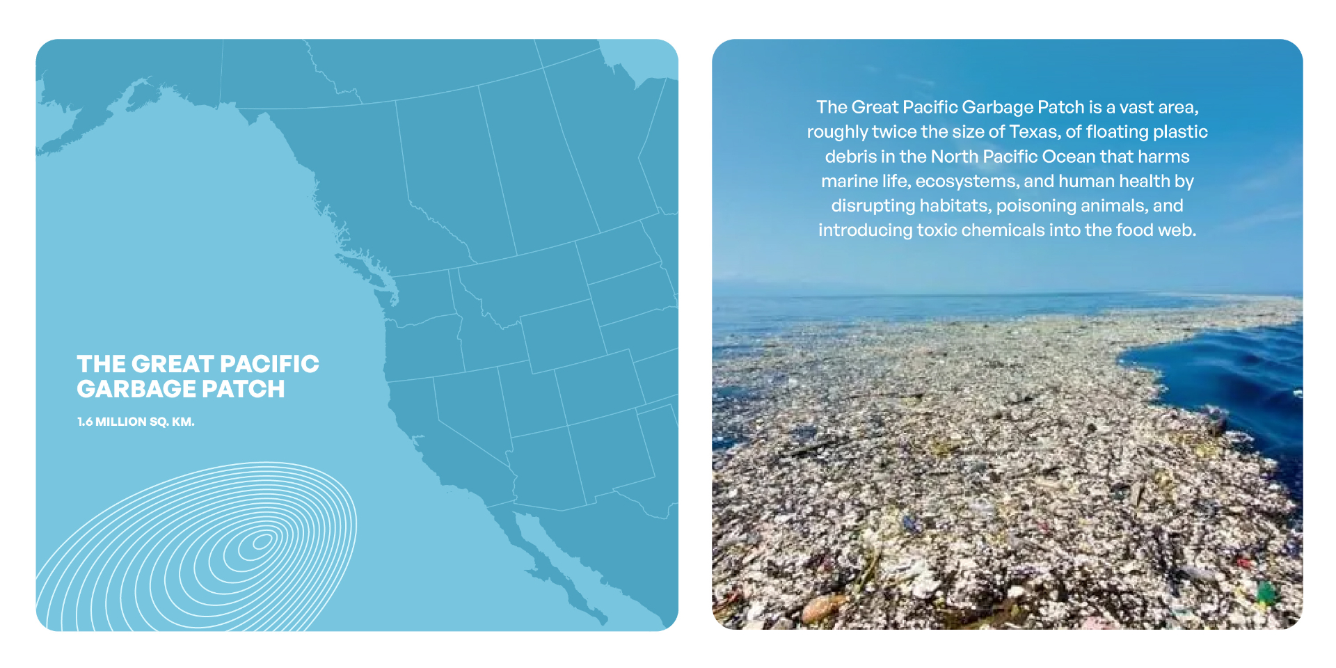 The Great Pacific Garbage Patch — 1.6 million sq. km.